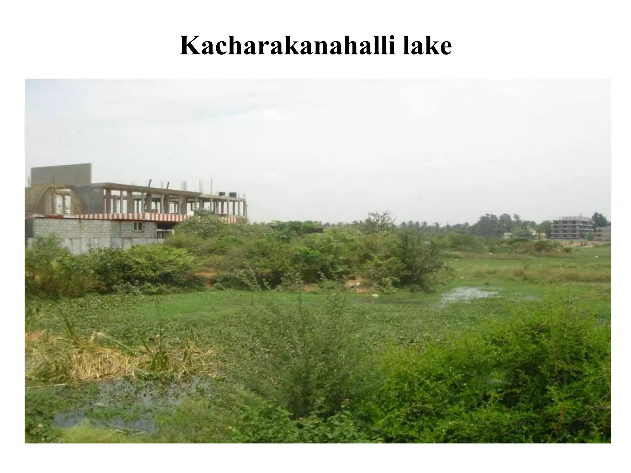 Kacharakanahalli lake
 