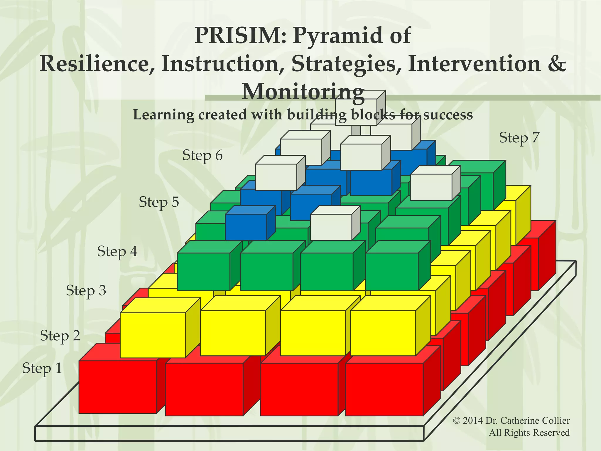 PRISIM: Pyramid of
Resilience, Instruction, Strategies, Intervention &
Monitoring
Learning created with building blocks for success
Step 7

Step 6
Step 5
Step 4
Step 3
Step 2
Step 1

© 2014 Dr. Catherine Collier
All Rights Reserved

 