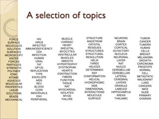 FORCE
SURFACE
MOLECULES
SOLUTION
SURFACES
MICROSCOPY
WATER
FORCES
PARTICLES
STRENGTH
POLYMER
IONIC
ATOMIC
AQUEOUS
MOLECULAR
PROPERTIES
LIQUID
SOLUTIONS
BEADS
MECHANICAL
HIV
VIRUS
INFECTED
IMMUNODEFICIENCY
CD4
INFECTION
HUMAN
VIRAL
TAT
GP120
REPLICATION
TYPE
ENVELOPE
AIDS
REV
BLOOD
CCR5
INDIVIDUALS
ENV
PERIPHERAL
MUSCLE
CARDIAC
HEART
SKELETAL
MYOCYTES
VENTRICULAR
MUSCLES
SMOOTH
HYPERTROPHY
DYSTROPHIN
HEARTS
CONTRACTION
FIBERS
FUNCTION
TISSUE
RAT
MYOCARDIAL
ISOLATED
MYOD
FAILURE
STRUCTURE
ANGSTROM
CRYSTAL
RESIDUES
STRUCTURES
STRUCTURAL
RESOLUTION
HELIX
THREE
HELICES
DETERMINED
RAY
CONFORMATION
HELICAL
HYDROPHOBIC
SIDE
DIMENSIONAL
INTERACTIONS
MOLECULE
SURFACE
NEURONS
BRAIN
CORTEX
CORTICAL
OLFACTORY
NUCLEUS
NEURONAL
LAYER
RAT
NUCLEI
CEREBELLUM
CEREBELLAR
LATERAL
CEREBRAL
LAYERS
GRANULE
LABELED
HIPPOCAMPUS
AREAS
THALAMIC
A selection of topics
TUMOR
CANCER
TUMORS
HUMAN
CELLS
BREAST
MELANOMA
GROWTH
CARCINOMA
PROSTATE
NORMAL
CELL
METASTATIC
MALIGNANT
LUNG
CANCERS
MICE
NUDE
PRIMARY
OVARIAN
 
