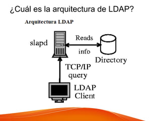 ¿Cuál es la arquitectura de LDAP?
 
