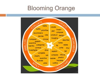 Blooming Orange
 
