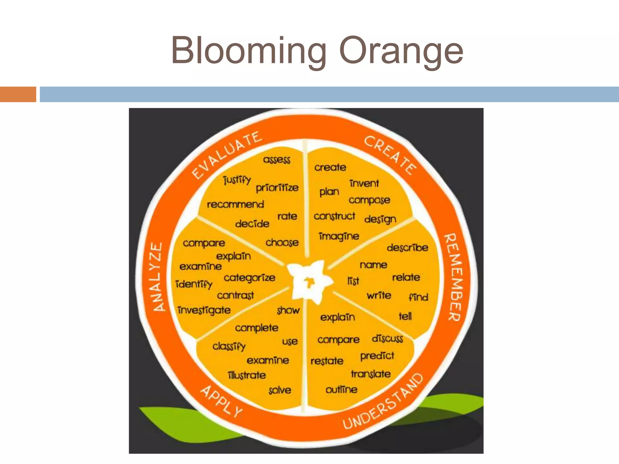 Blooming Orange