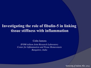 Investigating the role of fibulin-5 in linking
tissue stiffness with inflammation
Colin Jamora
IFOM-inStem Joint Research Laboratory
Center for Inﬂammation and Tissue Homeostasis
Bangalore, India
University of Salento, Nov. 2014
 