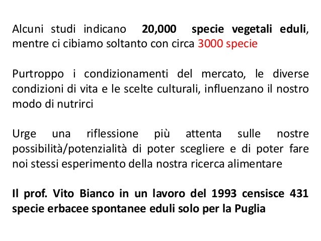 Comprare lascia cadere un martello Torah in farmacie in Mosca