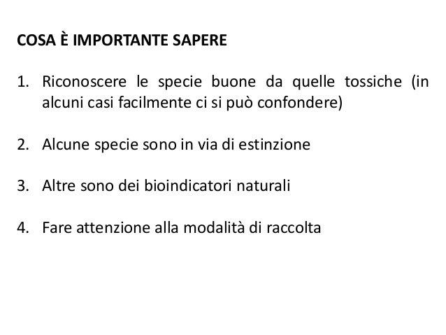 Massaggio predstatelny potenzialità