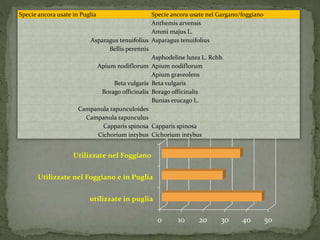 Specie ancora usate in Puglia Specie ancora usate nel Gargano/foggiano 
Anthemis arvensis 
Ammi majus L. 
Asparagus tenuifolius Asparagus tenuifolius 
Bellis perennis 
Asphodeline lutea L. Rchb. 
Apium nodiflorum Apium nodiflorum 
Apium graveolens 
Beta vulgaris Beta vulgaris 
Borago officinalis Borago officinalis 
Bunias erucago L. 
Campanula rapunculoides 
Campanula rapunculus 
Capparis spinosa Capparis spinosa 
Cichorium intybus Cichorium intybus 
0 10 20 30 40 50 
Utilizzate nel Foggiano 
Utilizzate nel Foggiano e in Puglia 
utilizzate in puglia 
 