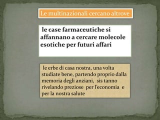 Le multinazionali cercano altrove 
le erbe di casa nostra, una volta 
studiate bene, partendo proprio dalla 
memoria degli anziani, sis tanno 
rivelando preziose per l’economia e 
per la nostra salute 
