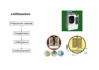 Liofilizzazione 
Preparazione materiale 
Congelamento 
Liofilizzazione 
Confezionamento 
 