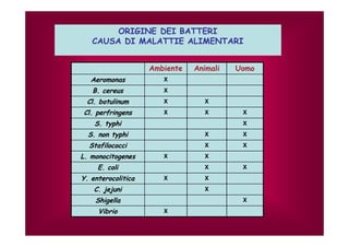 ORIGINE DEI BATTERI 
CAUSA DI MALATTIE ALIMENTARI 
Ambiente Animali Uomo 
Aeromonas X 
B. cereus X 
Cl. botulinum X X 
Cl. perfringens X X X 
S. typhi X 
S. non typhi X X 
Stafilococci X X 
L. monocitogenes X X 
E. coli X X 
Y. enterocolitica X X 
C. jejuni X 
Shigella X 
Vibrio X 
 