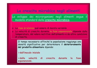 La crescita microbica negli alimenti 
Lo sviluppo dei microrganismi negli alimenti segue il 
modello standard della crescita microbica. 
o La fase di latenza può essere di durata variabile 
o La velocità di crescita durante la fase esponenziale dipende dalla 
temperatura, dal valore nutritivo dell’alimento e da altre condizioni 
di crescita. 
Il tempo necessario affinché la popolazione raggiunga una 
densità significativa per determinare il deterioramento 
del prodotto alimentare dipende: 
dall’inoculo iniziale 
dalla velocità di crescita durante la fase 
esponenziale. 
 
