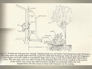 Ldb Permacultura_Kent greywater harvesting
