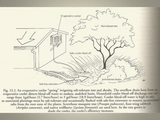 Ldb Permacultura_Kent greywater harvesting