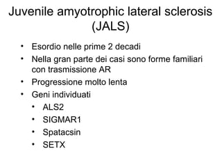 Juvenile amyotrophic lateral sclerosis
(JALS)
• Esordio nelle prime 2 decadi
• Nella gran parte dei casi sono forme familiari
con trasmissione AR
• Progressione molto lenta
• Geni individuati
• ALS2
• SIGMAR1
• Spatacsin
• SETX