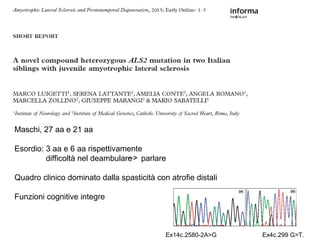 Ex14c.2580-2A>G Ex4c.299 G>T.
Maschi, 27 aa e 21 aa
Esordio: 3 aa e 6 aa rispettivamente
difficoltà nel deambulare parlare
Quadro clinico dominato dalla spasticità con atrofie distali
Funzioni cognitive integre