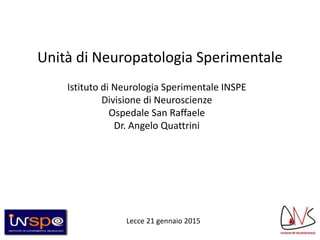 Unità di Neuropatologia Sperimentale
Istituto di Neurologia Sperimentale INSPE
Divisione di Neuroscienze
Ospedale San Raffaele
Dr. Angelo Quattrini
Lecce 21 gennaio 2015
 