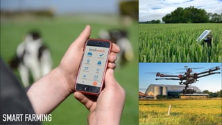 SMART FARMING
 