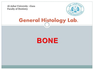BONE
General Histology Lab.
Al-Azhar University –Gaza
Faculty of Dentistry
 