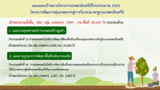 แผนและเป้าหมายโครงการเกษตรอินทรีย์ปีงบประมาณ 2563
โครงการพัฒนากลุ่มเกษตรกรสู่การรับรองมาตรฐานเกษตรอินทรีย์
เป้าหมายรวมทั้งสิ้น 842 กลุ่ม เกษตรกร 7,997 ราย พื้นที่ 59,169 ไร่ ประกอบด้วย
1. แผนงานยุทธศาสตร์การเกษตรสร้างมูลค่า
กิจกรรมหลักที่ 16 ถ่ายทอดเทคโนโลยีการพัฒนาที่ดินเพื่อขับเคลื่อนกลุ่มเกษตรกรเข้าสู่ระบบเกษตรอินทรีย์
เป้าหมายจานวน 736 กลุ่ม เกษตรกร 6,990 ราย 53,285 ไร่
2. แผนงานบูรณาการพัฒนาพื้นที่ระดับภาคเหนือ
กิจกรรมหลักที่ 46 ถ่ายทอดเทคโนโลยีการจัดการดินที่เหมาะสมและส่งเสริมระบบการรับรองแบบมีส่วนร่วม
ให้กับเกษตรกรผู้ผลิตเกษตรอินทรีย์ในภาคเหนือตอนบน
เป้าหมายจานวน 106 กลุ่ม เกษตรกร 1,007 ราย 5,885 ไร่
18
 