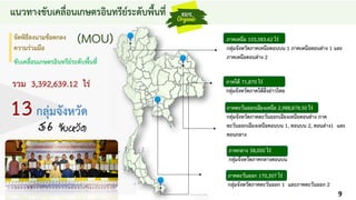 แนวทางขับเคลื่อนเกษตรอินทรีย์ระดับพื้นที่
13กลุ่มจังหวัด
จัดพิธีลงนามข้อตกลง
ความร่วมมือ
ภาคตะวันออกเฉียงเหนือ 2,988,878.50 ไร่
กลุ่มจังหวัดภาคตะวันออกเฉียงเหนือตอนล่าง ภาค
ตะวันออกเฉียงเหนือตอนบน 1, ตอนบน 2, ตอนล่าง1 และ
ตอนกลาง
ภาคเหนือ 103,583.62 ไร่
กลุ่มจังหวัดภาคเหนือตอนบน 1 ภาคเหนือตอนล่าง 1 และ
ภาคเหนือตอนล่าง 2
ภาคตะวันออก 170,307 ไร่
กลุ่มจังหวัดภาคตะวันออก 1 และภาคตะวันออก 2
ภาคใต้ 71,870 ไร่
กลุ่มจังหวัดภาคใต้ฝั่งอ่าวไทย
56 จังหวัด
ขับเคลื่อนเกษตรอินทรีย์ระดับพื้นที่
(MOU)
รวม 3,392,639.12 ไร่
ภาคกลาง 58,000 ไร่
กลุ่มจังหวัดภาคกลางตอนบน
9
 