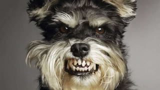 Acesse o blog e conheça outras formações palestrantecarlosandre.blogspot.com.br 23
 