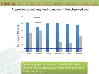Soil Health in Southern Africa and implications on sustainable intensification 2014 L Desta et al
