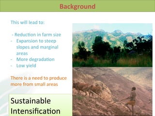 Soil Health in Southern Africa and implications on sustainable intensification 2014 L Desta et al