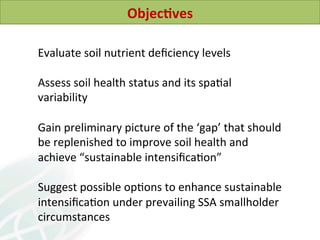 Soil Health in Southern Africa and implications on sustainable intensification 2014 L Desta et al