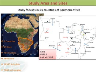 Soil Health in Southern Africa and implications on sustainable intensification 2014 L Desta et al