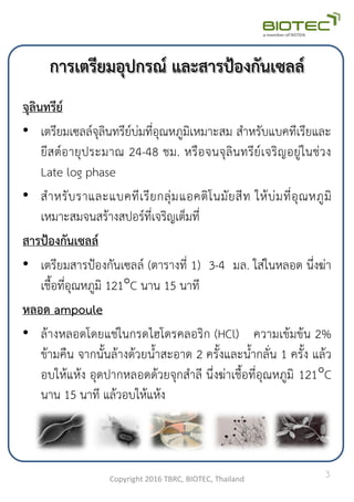 การเตรียมอุปกรณ์ และสารป้องกันเซลล์
จุลินทรีย์
• เตรียมเซลล์จุลินทรีย์บ่มที่อุณหภูมิเหมาะสม ส้าหรับแบคทีเรียและ
ยีสต์อายุประมาณ 24-48 ชม. หรือจนจุลินทรีย์เจริญอยู่ในช่วง
Late log phase
• ส้าหรับราและแบคทีเรียกลุ่มแอคติโนมัยสีท ให้บ่มที่อุณหภูมิ
เหมาะสมจนสร้างสปอร์ที่เจริญเต็มที่
สารป้องกันเซลล์
• เตรียมสารป้องกันเซลล์ (ตารางที่ 1) 3-4 มล. ใส่ในหลอด นึ่งฆ่า
เชือที่อุณหภูมิ 121C นาน 15 นาที
หลอด ampoule
• ล้างหลอดโดยแช่ในกรดไฮโดรคลอริก (HCl) ความเข้มข้น 2%
ข้ามคืน จากนันล้างด้วยน้าสะอาด 2 ครังและน้ากลั่น 1 ครัง แล้ว
อบให้แห้ง อุดปากหลอดด้วยจุกส้าลี นึ่งฆ่าเชือที่อุณหภูมิ 121C
นาน 15 นาที แล้วอบให้แห้ง
Copyright 2016 TBRC, BIOTEC, Thailand
3
 