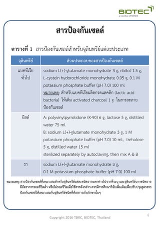 สารป้องกันเซลล์
จุลินทรีย์ ส่วนประกอบของสารป้องกันเซลล์
แบคทีเรีย
ทั่วไป
sodium L(+)-glutamate monohydrate 3 g, ribitol 1.5 g,
L-cystein hydorochloride monohydrate 0.05 g, 0.1 M
potassium phosphate buffer (pH 7.0) 100 ml
หมายเหตุ: ส้าหรับแบคทีเรียผลิตกรดแลคติก (lactic acid
bacteria) ให้เติม activated charcoal 1 g ในสารละลาย
ป้องกันเซลล์
ยีสต์ A: polyvinylpyrrolidone (K-90) 6 g, lactose 5 g, distilled
water 75 ml
B: sodium L(+)-glutamate monohydrate 3 g, 1 M
potassium phosphate buffer (pH 7.0) 10 ml, trehalose
5 g, distilled water 15 ml
sterilized separately by autoclaving, then mix A & B
รา sodium L(+)-glutamate monohydrate 3 g,
0.1 M potassium phosphate buffer (pH 7.0) 100 ml
Copyright 2016 TBRC, BIOTEC, Thailand
Source: NBRC, Japan
ตารางที่ 1 สารป้องกันเซลล์ส้าหรับจุลินทรีย์แต่ละประเภท
4
หมายเหตุ: สารป้องกันเซลล์ที่เหมาะสมสาหรับจุลินทรีย์แต่ละชนิดอาจแตกต่างไปจากที่ระบุ และจุลินทรีย์บางชนิดอาจ
มีอัตราการรอดชีวิตต่า หรือไม่รอดชีวิตเมื่อใช้สารดังกล่าว ควรมีการศึกษาวิจัยเพิ่มเติมเพื่อปรับปรุงสูตรสาร
ป้องกันเซลล์ให้เหมาะสมกับจุลินทรีย์ชนิดที่ต้องการเก็บรักษานั้นๆ
 