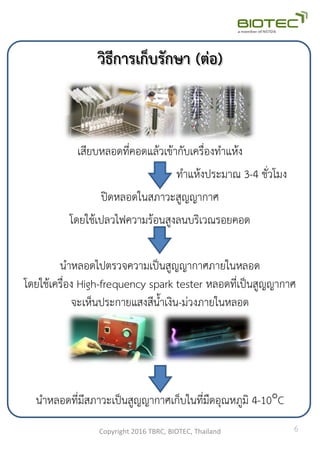 วิธีการเก็บรักษา (ต่อ)
เสียบหลอดที่คอดแล้วเข้ากับเครื่องท้าแห้ง
ท้าแห้งประมาณ 3-4 ชั่วโมง
ปิดหลอดในสภาวะสูญญากาศ
โดยใช้เปลวไฟความร้อนสูงลนบริเวณรอยคอด
น้าหลอดไปตรวจความเป็นสูญญากาศภายในหลอด
โดยใช้เครื่อง High-frequency spark tester หลอดที่เป็นสูญญากาศ
จะเห็นประกายแสงสีน้าเงิน-ม่วงภายในหลอด
น้าหลอดที่มีสภาวะเป็นสูญญากาศเก็บในที่มืดอุณหภูมิ 4-10C
Copyright 2016 TBRC, BIOTEC, Thailand 6
 