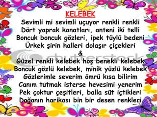 KELEBEK
   Sevimli mi sevimli uçuyor renkli renkli
   Dört yaprak kanatları, anteni iki telli
 Boncuk boncuk gözleri, ipek tüylü bedeni
    Ürkek Ģirin halleri dolaĢır çiçekleri
                      &
 Güzel renkli kelebek hoĢ benekli kelebek
Boncuk gözlü kelebek, minik yüzlü kelebek
    Gözlerimle severim ömrü kısa bilirim
  Canım tutmak isterse hevesimi yenerim
  Pek çoktur çeĢitleri, balla süt içtikleri
  Doğanın harikası bin bir desen renkleri
 