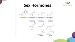 Sex Hormones
 