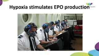 Hypoxia stimulates EPO production
 