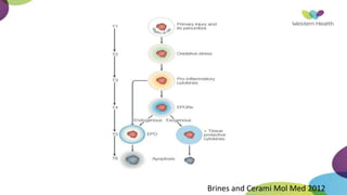 Brines and Cerami Mol Med 2012
 