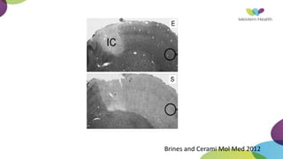 Brines and Cerami Mol Med 2012
 