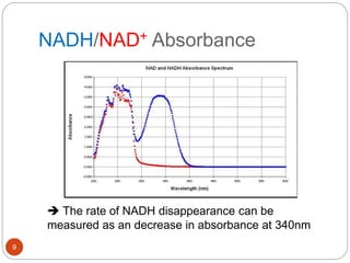 NADH/NAD+ Absorbance
9
 The rate of NADH disappearance can be
measured as an decrease in absorbance at 340nm
 