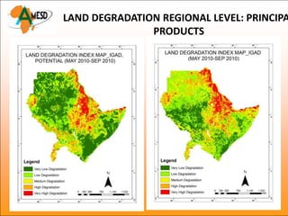 LAND DEGRADATION REGIONAL LEVEL: PRINCIPA
               PRODUCTS
 