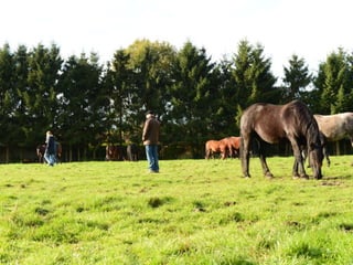 © Duarte, Inc. 2014 30 
 