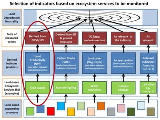 The Scientific Conceptual Framework for Land Degradation Neutrality | PDF