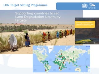 The Scientific Conceptual Framework for Land Degradation Neutrality | PDF