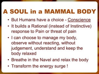A SOUL in a MAMMAL BODY
 • But Humans have a choice - Conscience
 • It builds a Rational (instead of Instinctive)
   response to Pain or threat of pain
 • I can choose to manage my body,
   observe without reacting, without
   judgement, understand and keep the
   body relaxed
 • Breathe in the Navel and relax the body
 • Transform the energy surge !
 