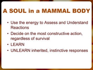 A SOUL in a MAMMAL BODY
 • Use the energy to Assess and Understand
   Reactions
 • Decide on the most constructive action,
   regardless of survival
 • LEARN
 • UNLEARN inherited, instinctive responses
 
