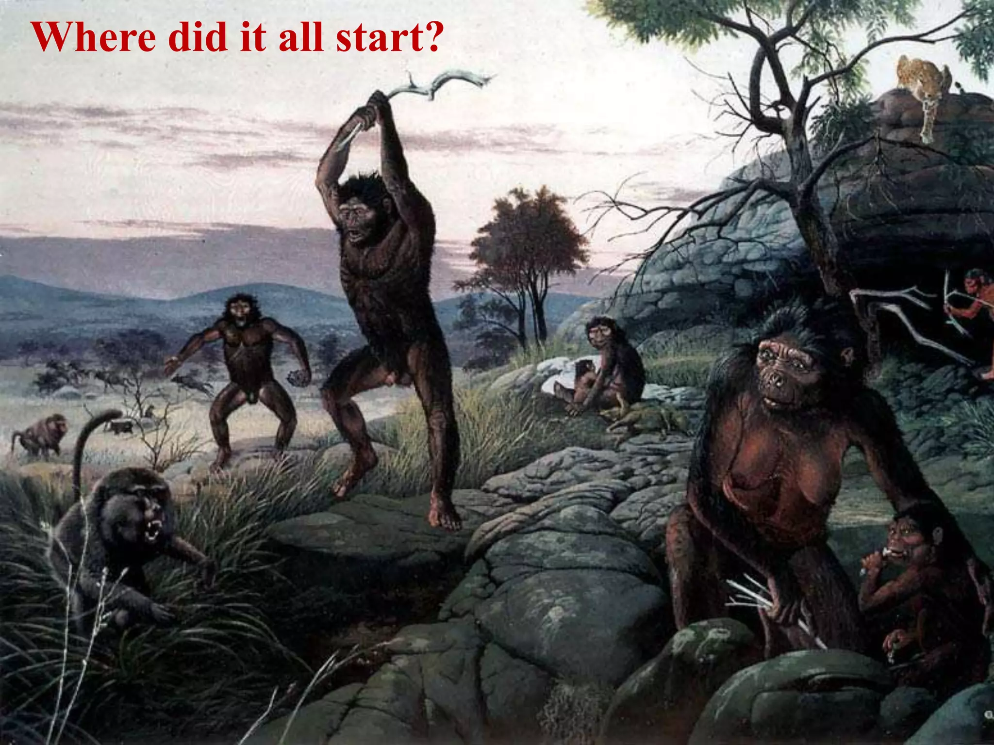 Where did it all start?
 