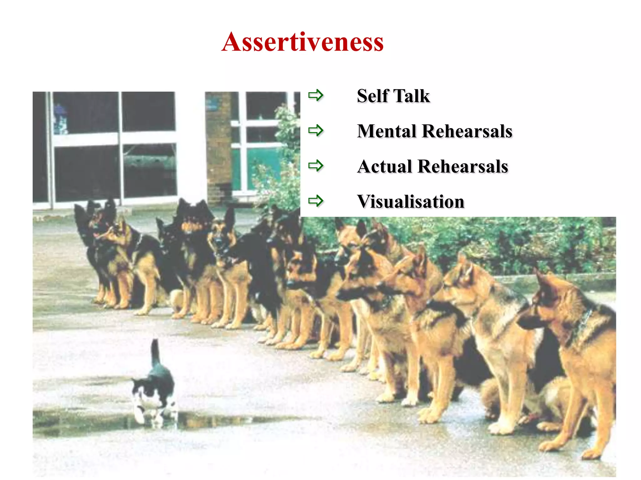Assertiveness
         Self Talk
         Mental Rehearsals
         Actual Rehearsals
         Visualisation
 