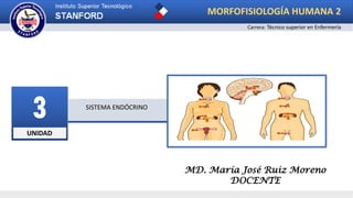 UNIDAD
3 SISTEMA ENDÓCRINO
MD. María José Ruiz Moreno
DOCENTE
Carrera: Técnico superior en Enfermería
MORFOFISIOLOGÍA HUMANA 2
 