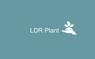 LDR Plant
 