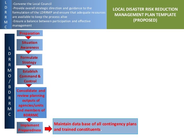 Proposed Local Disaster Risk Reduction Management Planning Process
