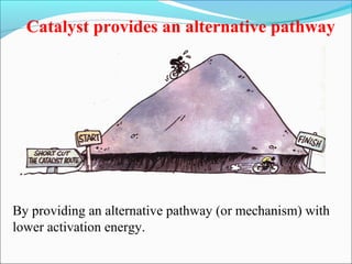 By providing an alternative pathway (or mechanism) with
lower activation energy.
Catalyst provides an alternative pathway
 