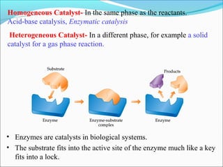 Homogeneous Catalyst- In the same phase as the reactants.
Acid-base catalysis, Enzymatic catalysis
Heterogeneous Catalyst- In a different phase, for example a solid
catalyst for a gas phase reaction.
• Enzymes are catalysts in biological systems.
• The substrate fits into the active site of the enzyme much like a key
fits into a lock.
 